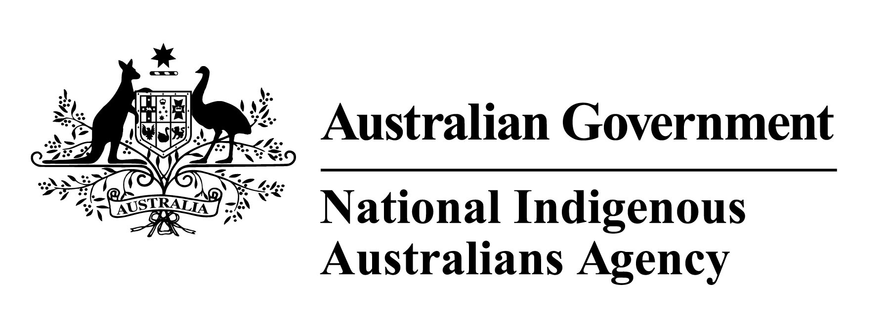 Logo of NIAA